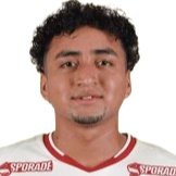 C. Flores