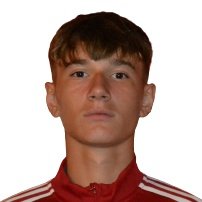 R. Radu